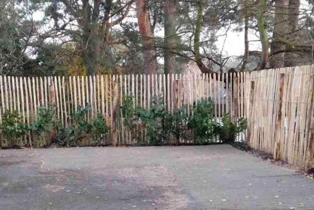 Ferienwohnung Green Garden Berlin Kültér fotó